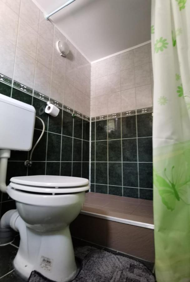 Casa Dobrin Hotel Arefu Luaran gambar