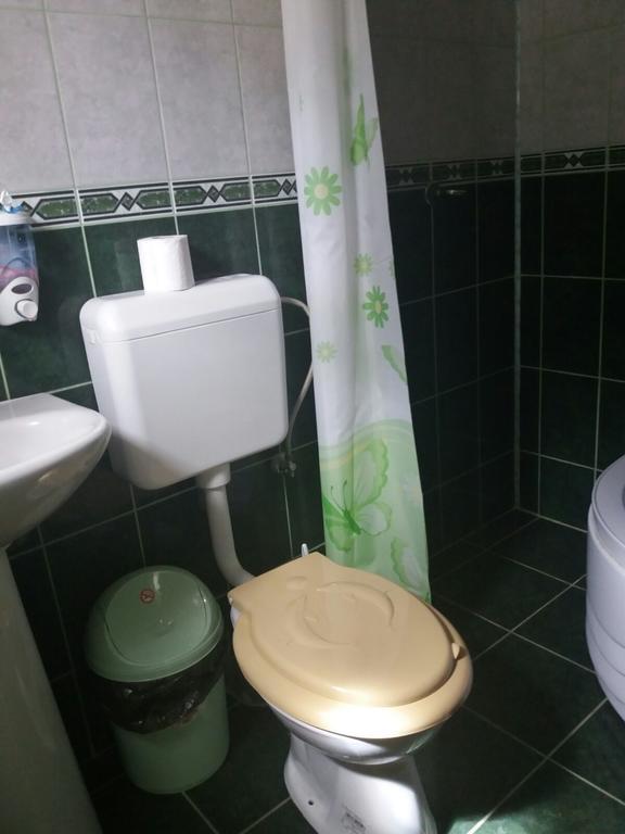 Casa Dobrin Hotel Arefu Luaran gambar