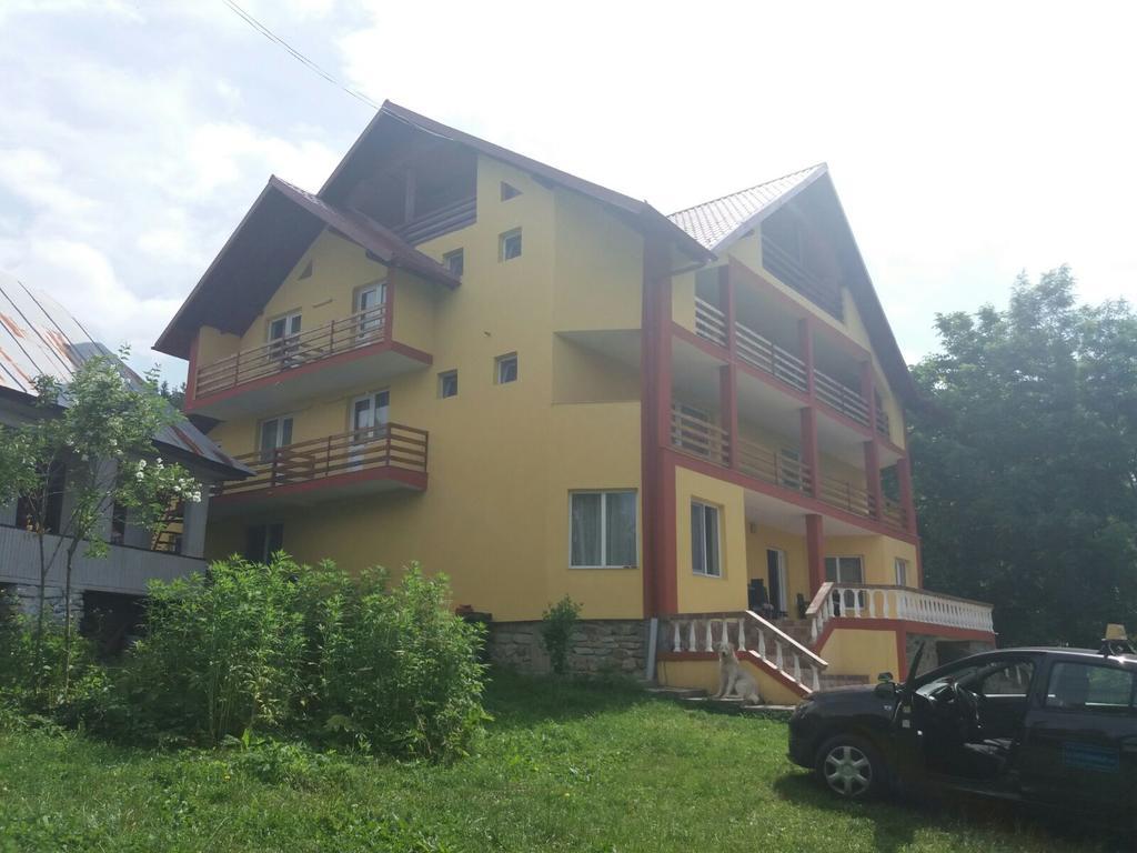 Casa Dobrin Hotel Arefu Luaran gambar