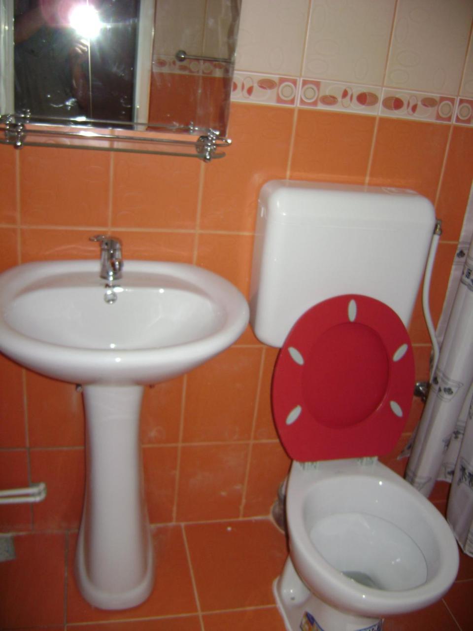 Casa Dobrin Hotel Arefu Luaran gambar